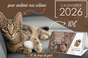 calendrier_gsf_2026