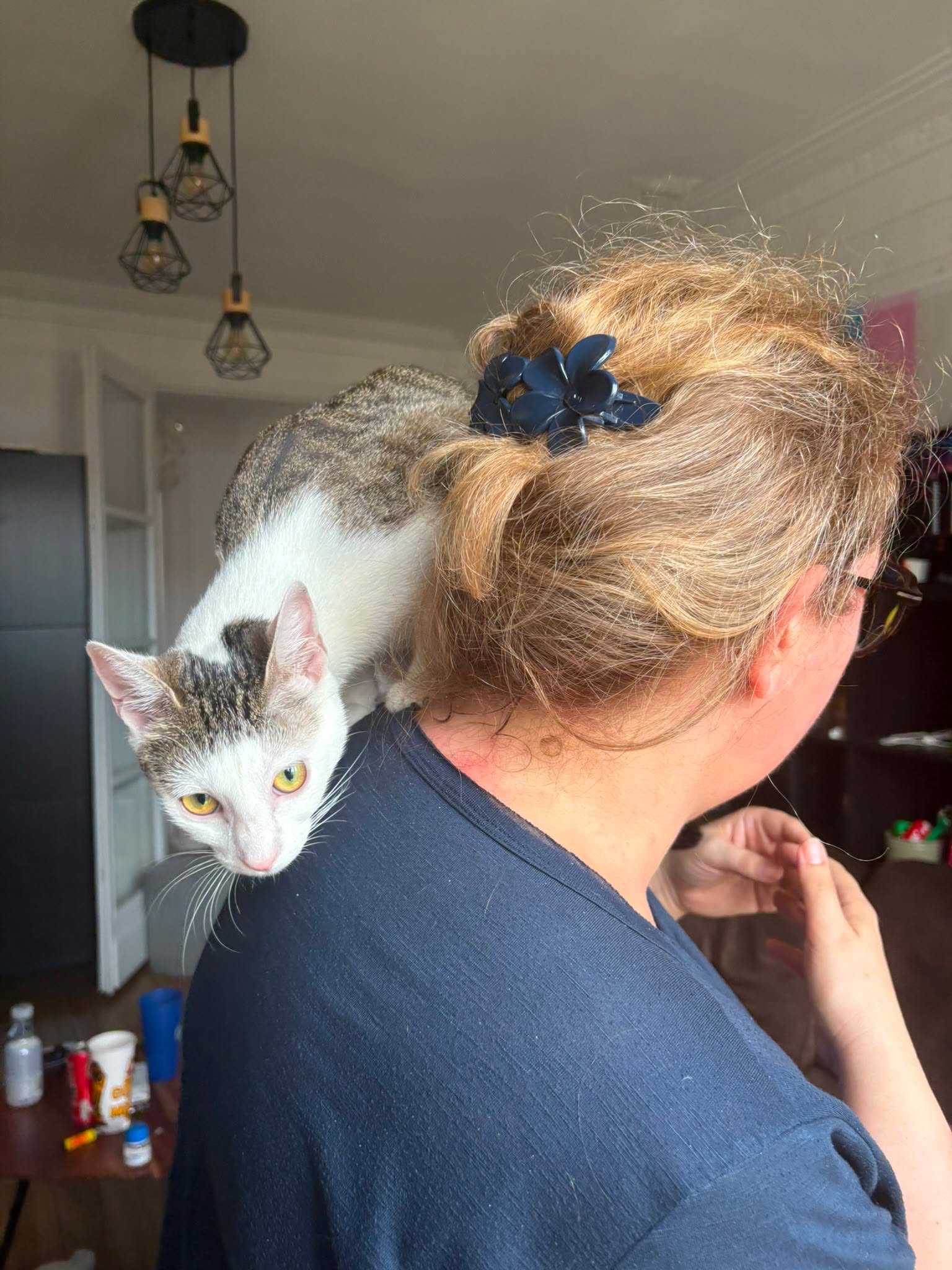 adoption chat 75