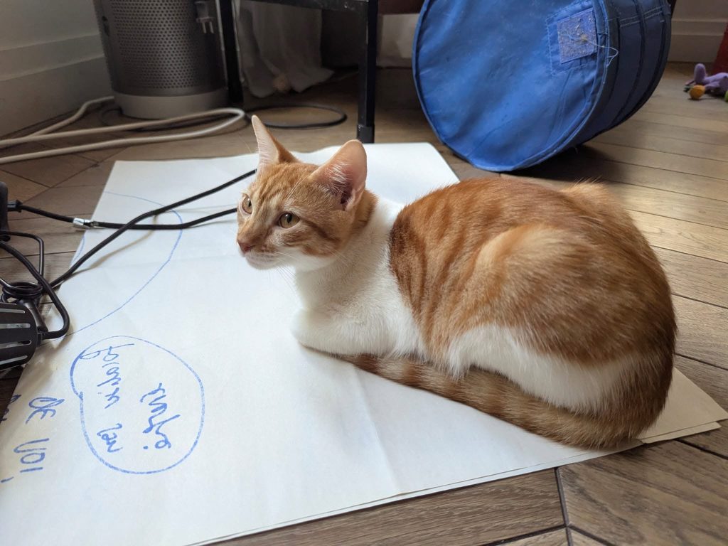 adoption chat male